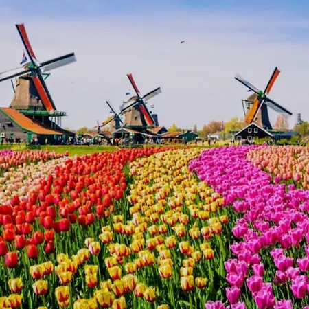 1-2 P Near Airport Ams Freeparking *