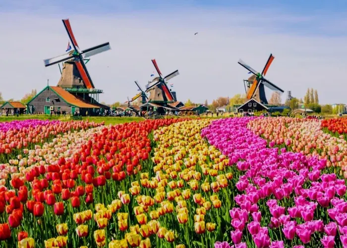 1-2 P Near Airport Ams Freeparking *